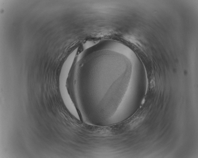 X0000075871156200609221813