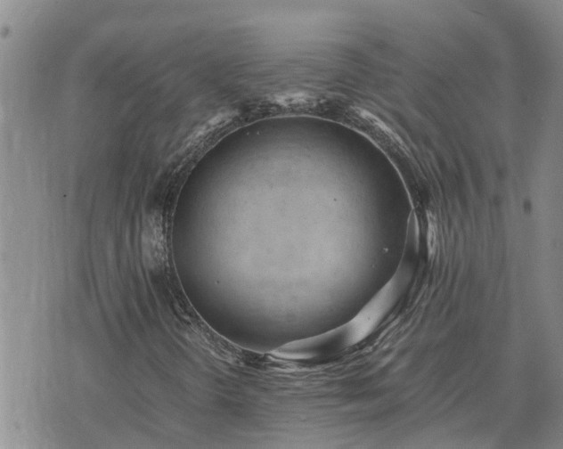 X0000075871298200609221810