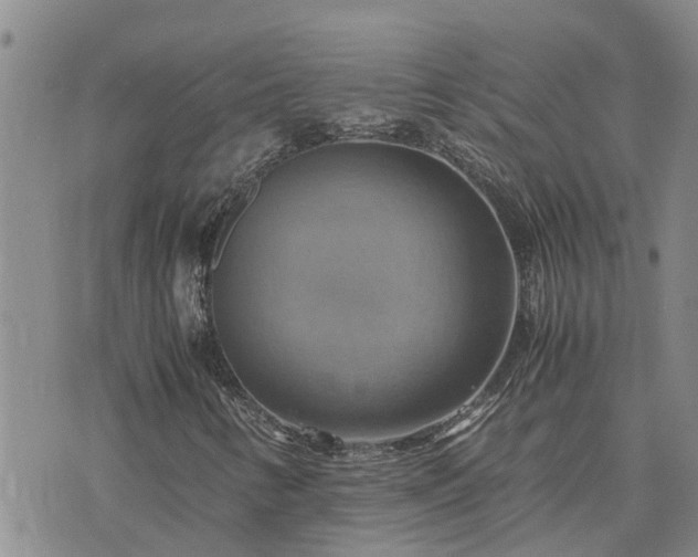 X0000075871346200609221810