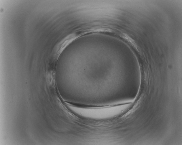 X0000075871369200609221810