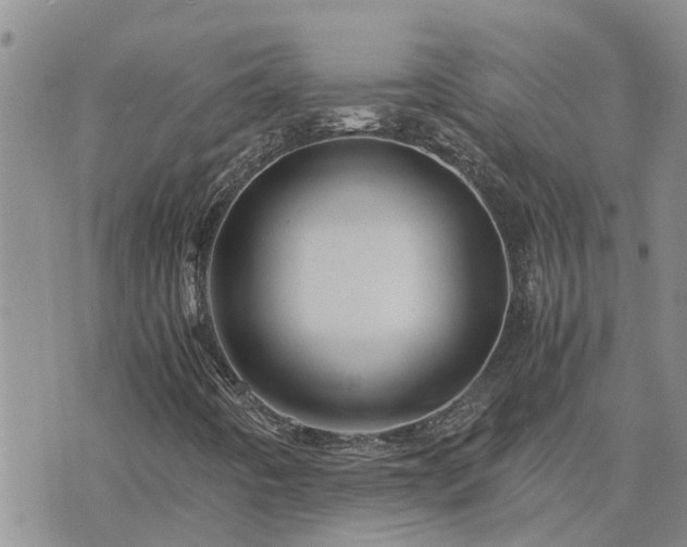 X0000075871442200609221809
