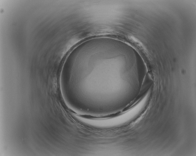 X0000075871457200609221808