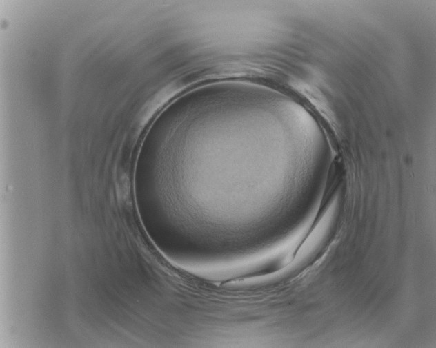 X0000075871465200609221808