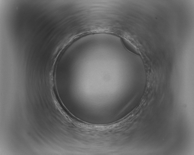 X0000075870002200609291626