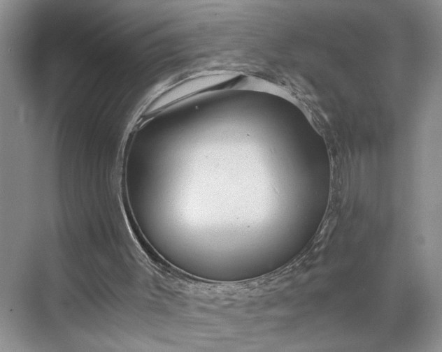 X0000075870003200609291626