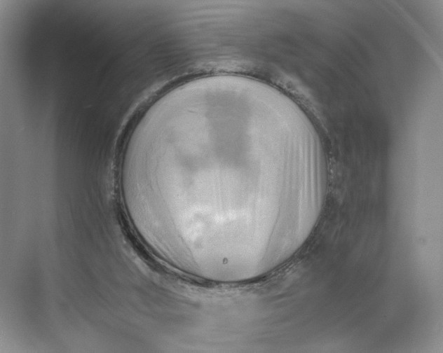 X0000075870012200609291626