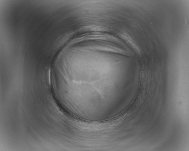 X0000075870014200609291626