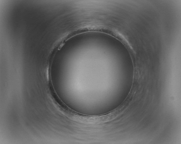 X0000075870019200609291626