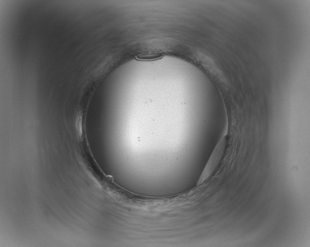 X0000075870021200609291626