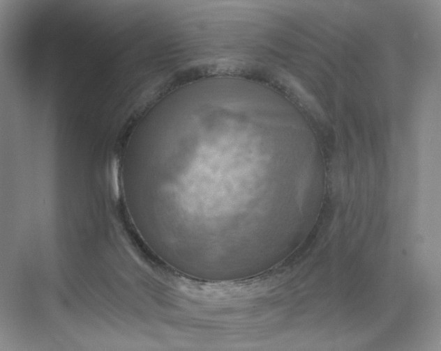 X0000075870022200609291626