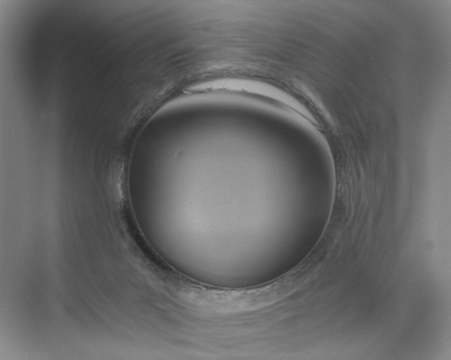 X0000075870023200609291626