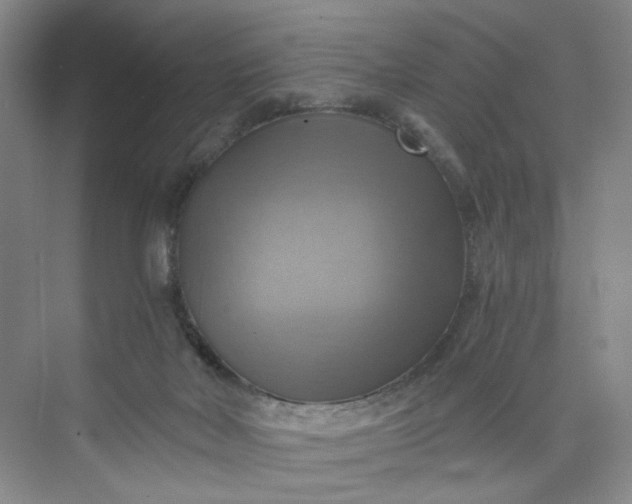 X0000075870026200609291625