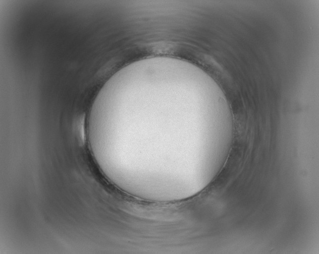 X0000075870028200609291625