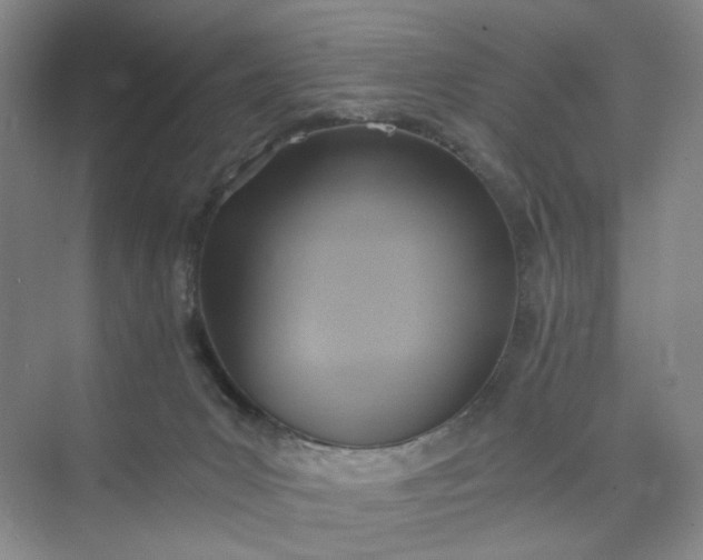 X0000075870031200609291625