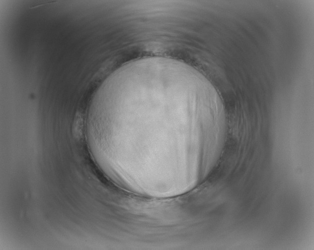 X0000075870036200609291625