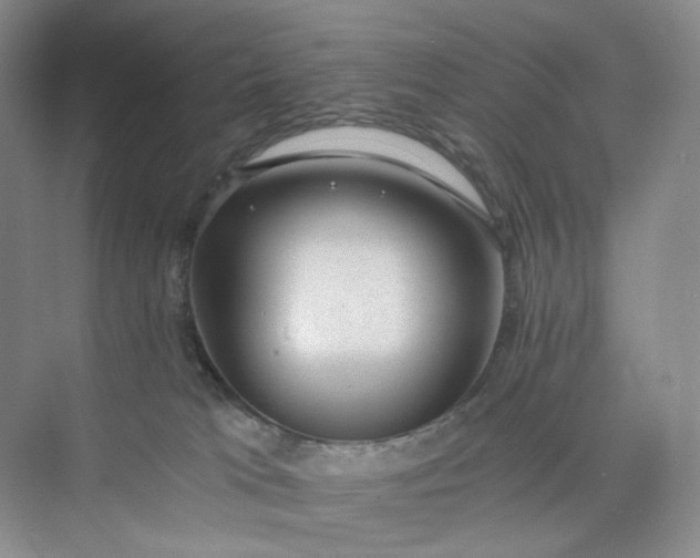 X0000075870037200609291625