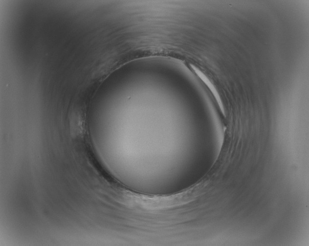 X0000075870039200609291625