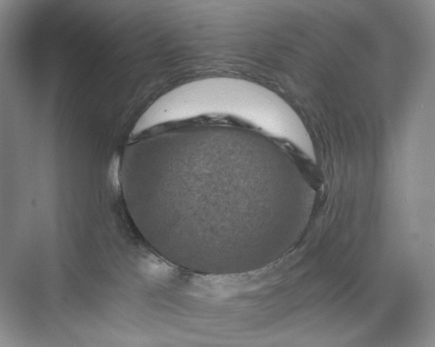 X0000075870041200609291625