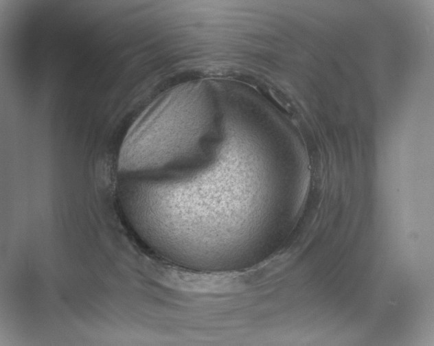 X0000075870044200609291625