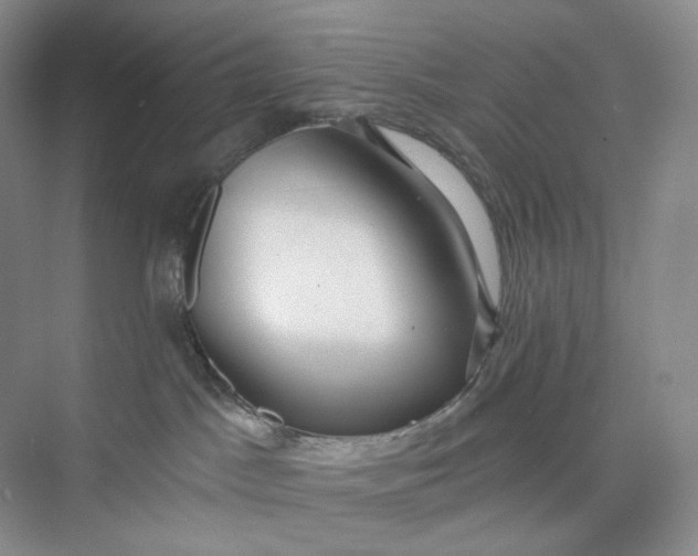 X0000075870045200609291625
