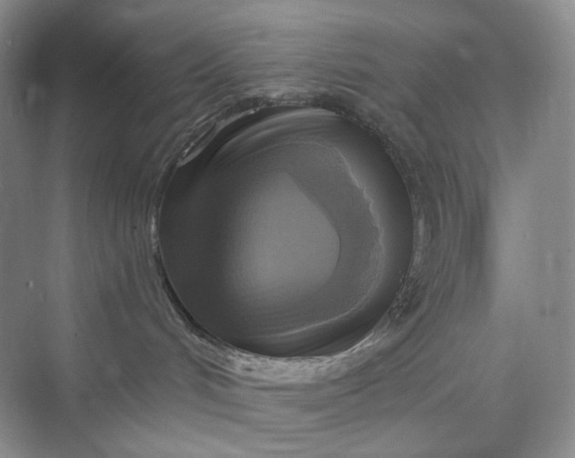 X0000075870048200609291625