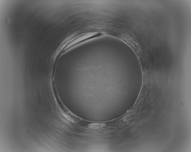 X0000075870051200609291624