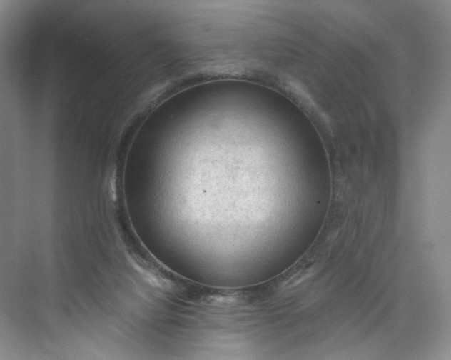 X0000075870068200609291625