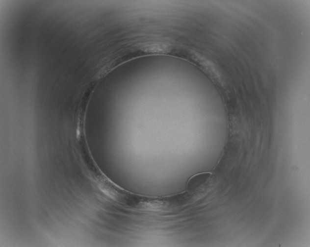 X0000075870069200609291625