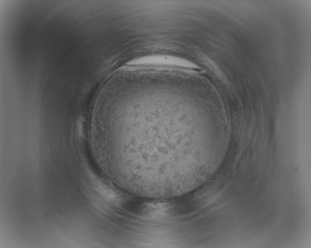 X0000075870071200609291625