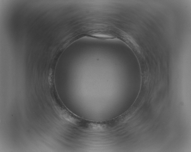 X0000075870073200609291625