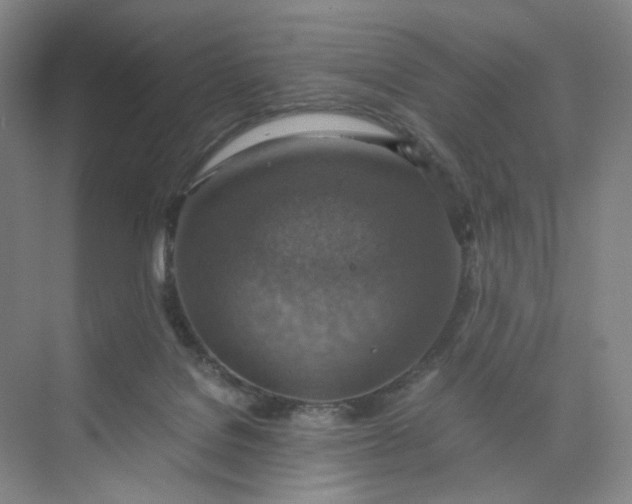 X0000075870076200609291625