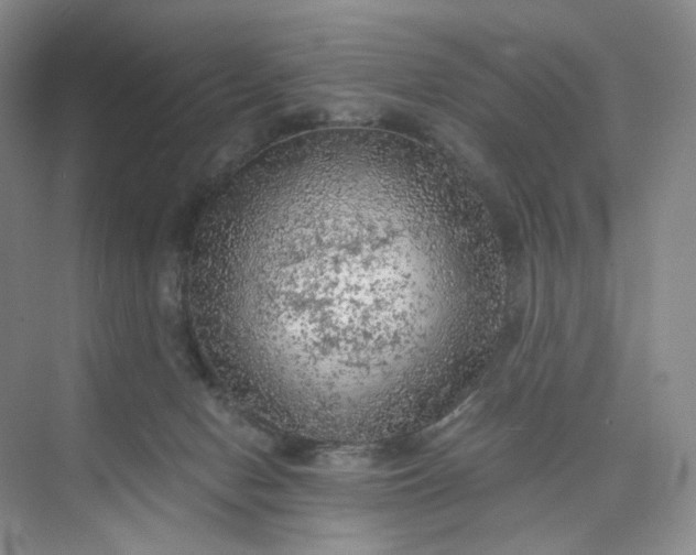 X0000075870078200609291625