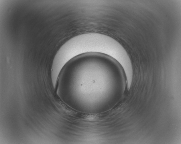 X0000075870088200609291625