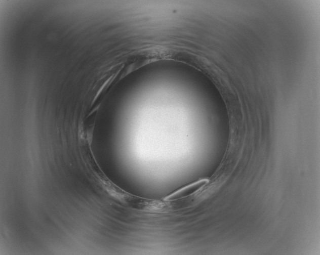 X0000075870096200609291625