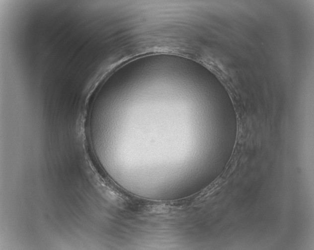 X0000075870098200609291624