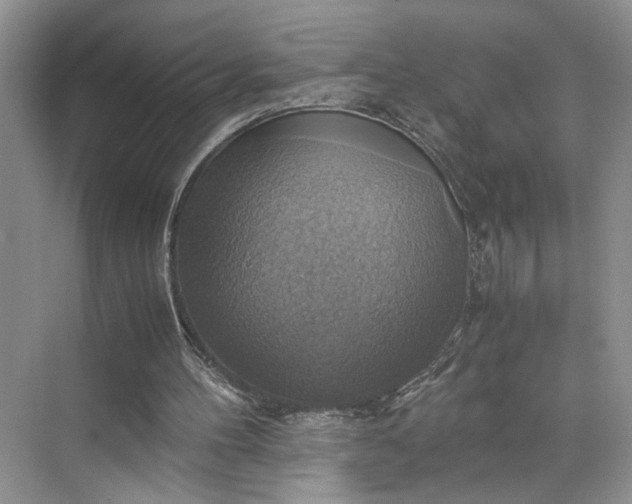 X0000075870100200609291624