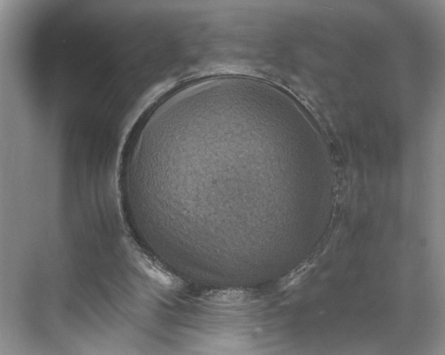 X0000075870104200609291624
