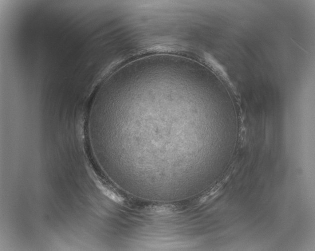 X0000075870106200609291624