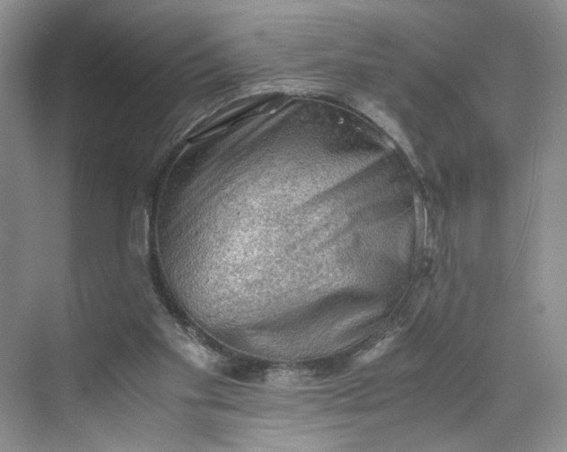 X0000075870109200609291624