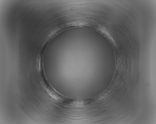 X0000075870110200609291624