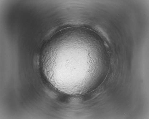 X0000075870115200609291624
