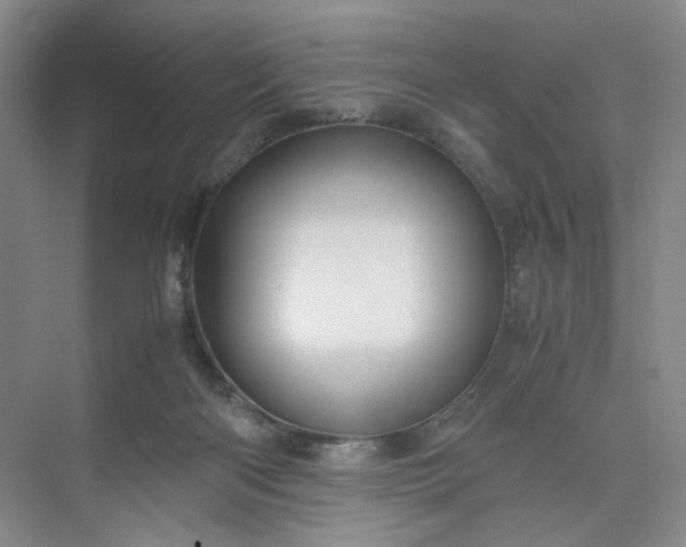 X0000075870122200609291624