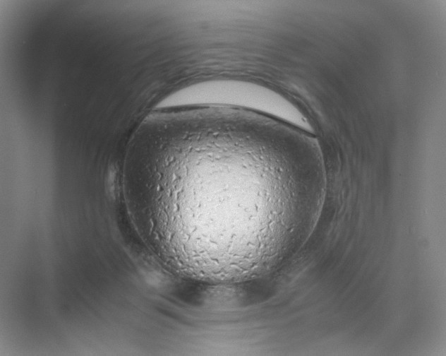 X0000075870123200609291624