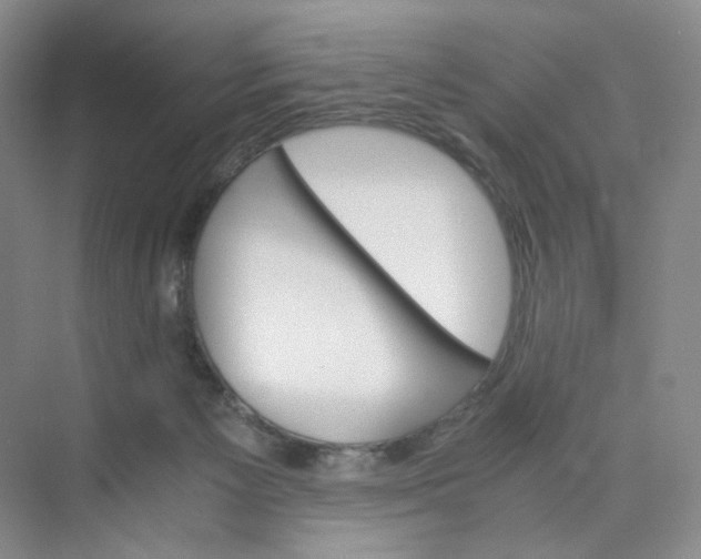 X0000075870125200609291624
