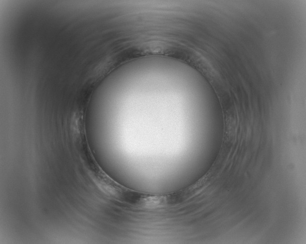 X0000075870126200609291624