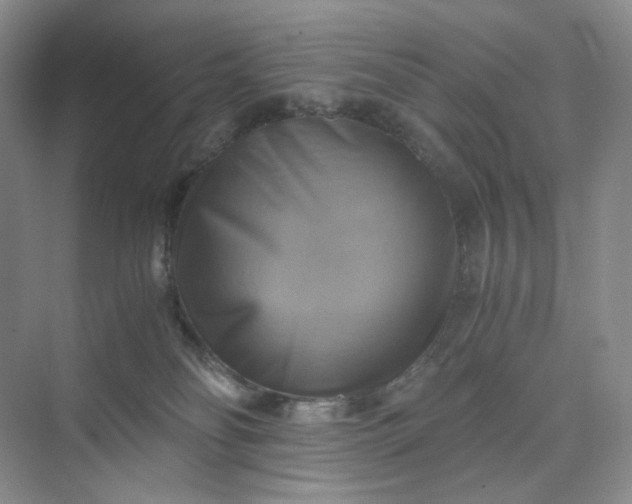 X0000075870134200609291624