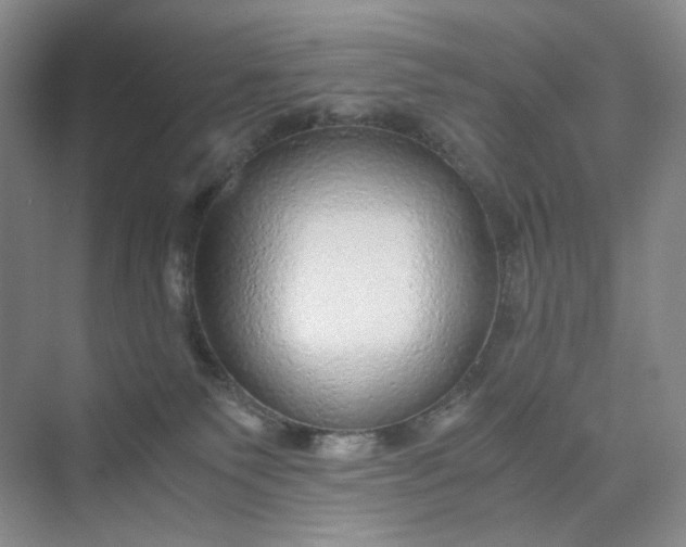 X0000075870135200609291624