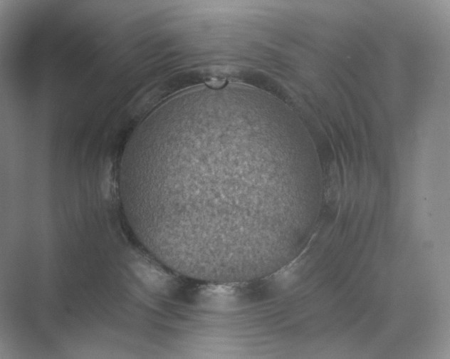 X0000075870140200609291624