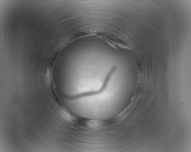 X0000075870142200609291623