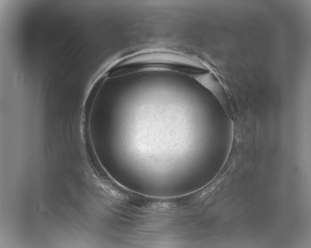 X0000075870152200609291623
